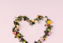 significato dei fiori per san valentino